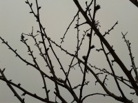 /album/kepek/a2011-12-02-13-57-26-jpg/